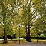 Veeve - White Lights On Wendle Square